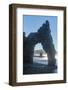 Rock arch, Cape giant, Sakhalin, Russia, Eurasia-Michael Runkel-Framed Photographic Print