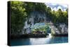 Rock Arch in the Rock Islands, Palau, Central Pacific, Pacific-Michael Runkel-Stretched Canvas