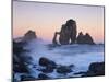 Rock Arches in the Sea, Gaztelugatxe, Basque Country, Bay of Biscay, Spain, October 2008-Popp-Hackner-Mounted Premium Photographic Print