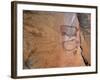 Rock Art, Rhinos, Tsodilo Hills, Ngamiland, Botswana, Africa.-Patrick Dieudonne-Framed Photographic Print