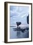 Rock at Ballandra Beach Near City of La Paz, Baja California, Mexico-Christian Heeb-Framed Photographic Print