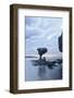 Rock at Ballandra Beach Near City of La Paz, Baja California, Mexico-Christian Heeb-Framed Photographic Print