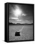 Rock at Racetrack Playa-Aaron Horowitz-Framed Stretched Canvas