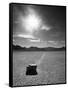 Rock at Racetrack Playa-Aaron Horowitz-Framed Stretched Canvas