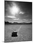 Rock at Racetrack Playa-Aaron Horowitz-Mounted Photographic Print