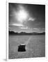 Rock at Racetrack Playa-Aaron Horowitz-Framed Photographic Print