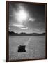 Rock at Racetrack Playa-Aaron Horowitz-Framed Photographic Print