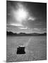 Rock at Racetrack Playa-Aaron Horowitz-Mounted Photographic Print