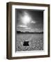 Rock at Racetrack Playa-Aaron Horowitz-Framed Photographic Print