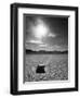 Rock at Racetrack Playa-Aaron Horowitz-Framed Photographic Print