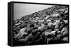 Rock Beach in Lima Peru-null-Framed Stretched Canvas