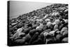 Rock Beach in Lima Peru-null-Stretched Canvas