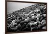 Rock Beach in Lima Peru-null-Framed Photo