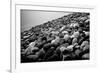 Rock Beach in Lima Peru-null-Framed Photo