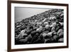 Rock Beach in Lima Peru-null-Framed Photo