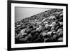 Rock Beach in Lima Peru-null-Framed Photo