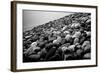 Rock Beach in Lima Peru-null-Framed Photo