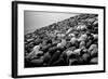 Rock Beach in Lima Peru-null-Framed Photo