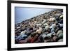 Rock Beach Lima Peru-null-Framed Photo