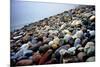 Rock Beach Lima Peru-null-Mounted Photo