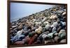 Rock Beach Lima Peru-null-Framed Photo