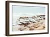 Rock Beach-Bruce Nawrocke-Framed Art Print