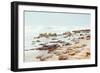 Rock Beach-Bruce Nawrocke-Framed Art Print