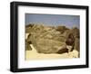 Rock bearing prehistoric heiroglyphics, Egypt-English Photographer-Framed Giclee Print