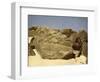 Rock bearing prehistoric heiroglyphics, Egypt-English Photographer-Framed Giclee Print