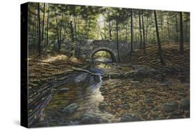 Rock Bridge White Tails-Bruce Dumas-Stretched Canvas