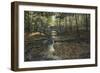 Rock Bridge White Tails-Bruce Dumas-Framed Giclee Print