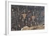 Rock Carvings of Human Figures, Newspaper Rock, Blue Mesa, Petrified Forest National Park, Arizona-null-Framed Giclee Print