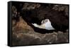 rock cave on the beach, Cap de Creus, Costa Brava, Catalonia, Spain-Peter Kreil-Framed Stretched Canvas