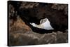 rock cave on the beach, Cap de Creus, Costa Brava, Catalonia, Spain-Peter Kreil-Stretched Canvas