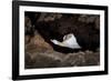 rock cave on the beach, Cap de Creus, Costa Brava, Catalonia, Spain-Peter Kreil-Framed Photographic Print