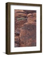 Rock climber at Red Rock Canyon, Las Vegas, Nevada.-Michele Niles-Framed Photographic Print