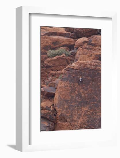 Rock climber at Red Rock Canyon, Las Vegas, Nevada.-Michele Niles-Framed Photographic Print