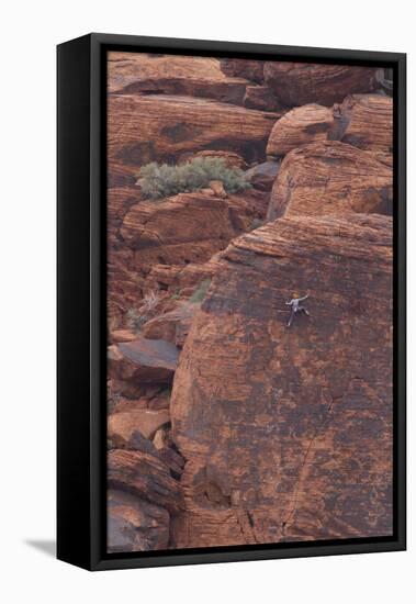 Rock climber at Red Rock Canyon, Las Vegas, Nevada.-Michele Niles-Framed Stretched Canvas