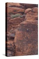 Rock climber at Red Rock Canyon, Las Vegas, Nevada.-Michele Niles-Stretched Canvas