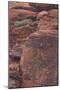 Rock climber at Red Rock Canyon, Las Vegas, Nevada.-Michele Niles-Mounted Photographic Print