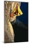 Rock Climber Bivouacked in His Portaledge on an Overhanging Cliff.-Greg Epperson-Mounted Photographic Print