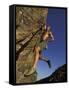 Rock Climber Hanging from Grip-null-Framed Stretched Canvas