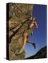 Rock Climber Hanging from Grip-null-Stretched Canvas