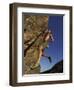 Rock Climber Hanging from Grip-null-Framed Photographic Print