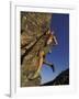 Rock Climber Hanging from Grip-null-Framed Photographic Print