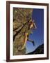 Rock Climber Hanging from Grip-null-Framed Photographic Print