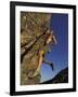 Rock Climber Hanging from Grip-null-Framed Photographic Print