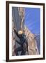 Rock Climber-Lantern Press-Framed Premium Giclee Print