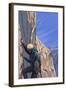 Rock Climber-Lantern Press-Framed Art Print