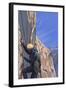 Rock Climber-Lantern Press-Framed Art Print